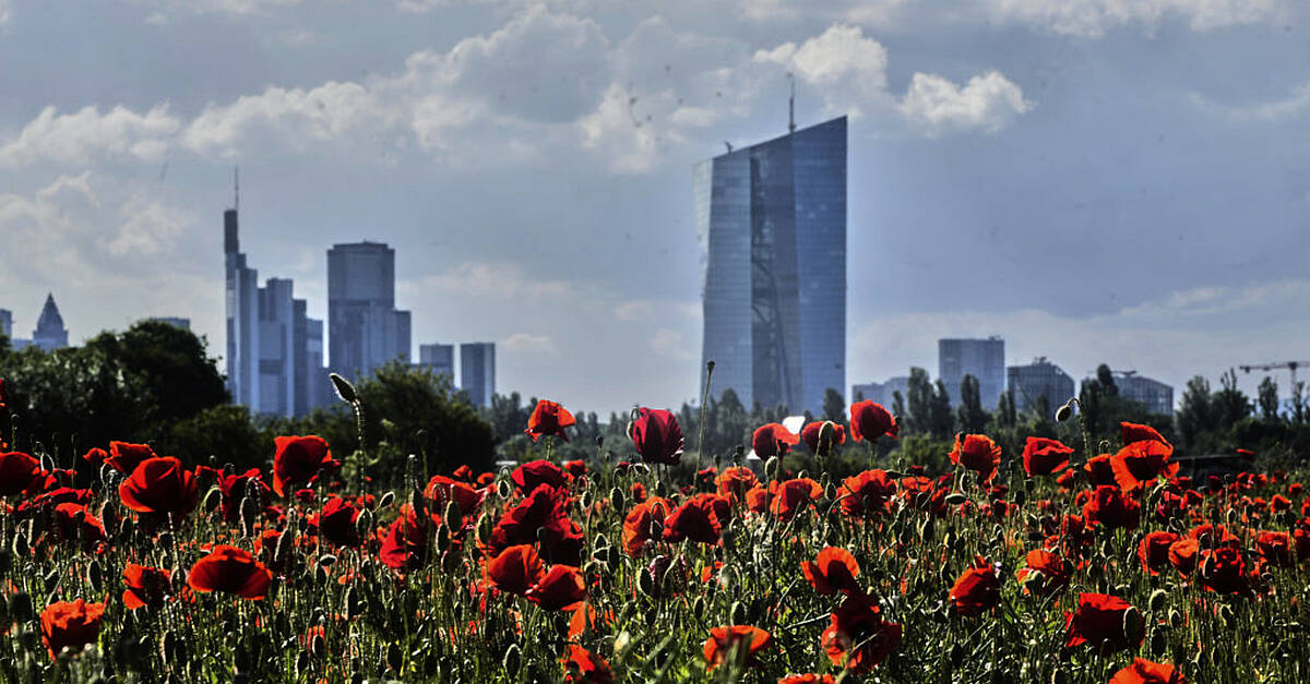 The German economy grew by 0 4 in the first