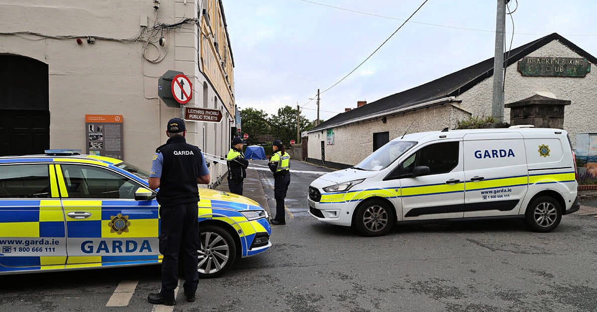 Man arrested over fatal hit-and-run incident in Co Dublin
