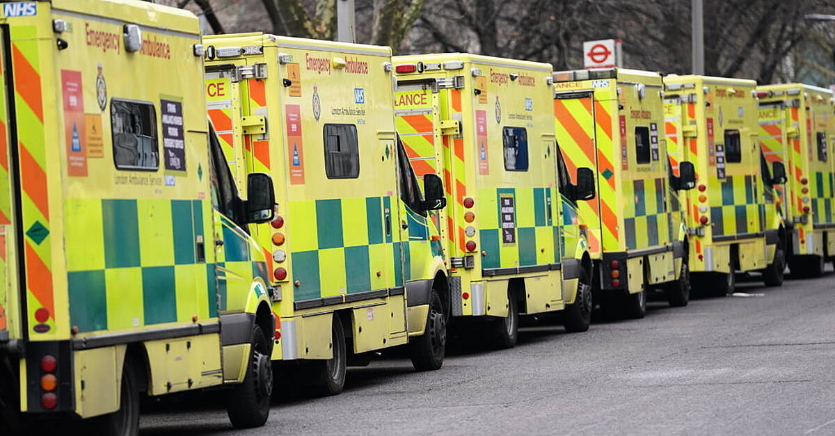 Girl, six, in ‘very serious’ condition after tree collapse
