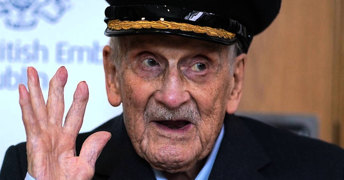 Portrait of last Battle of Britain pilot handed over at National Museum
