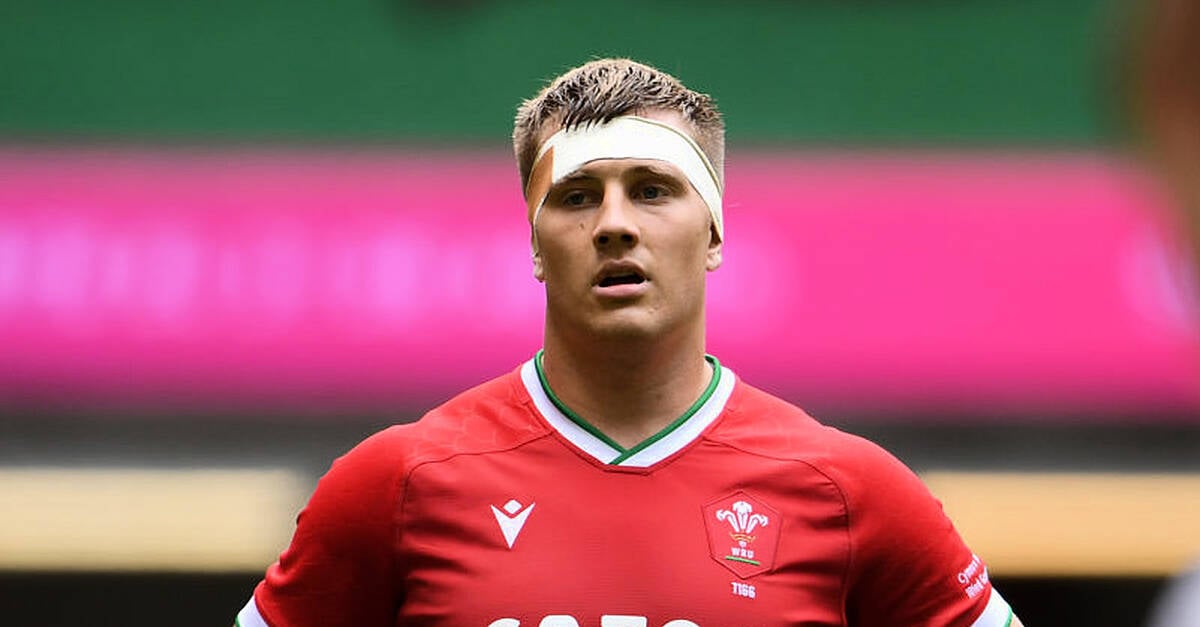 Ben Carter to head home after suffering concussion in Wales’ Test opener