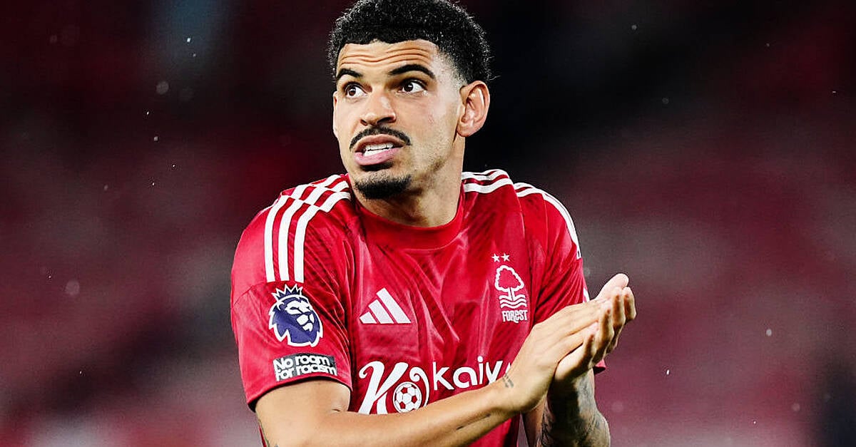 Morgan Gibbs-белите влакове с гора, докато Tottenham Move продължава да се спре 