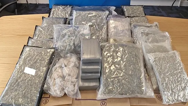 Man and woman (20s) arrested after €715k of drugs seized in Co Dublin