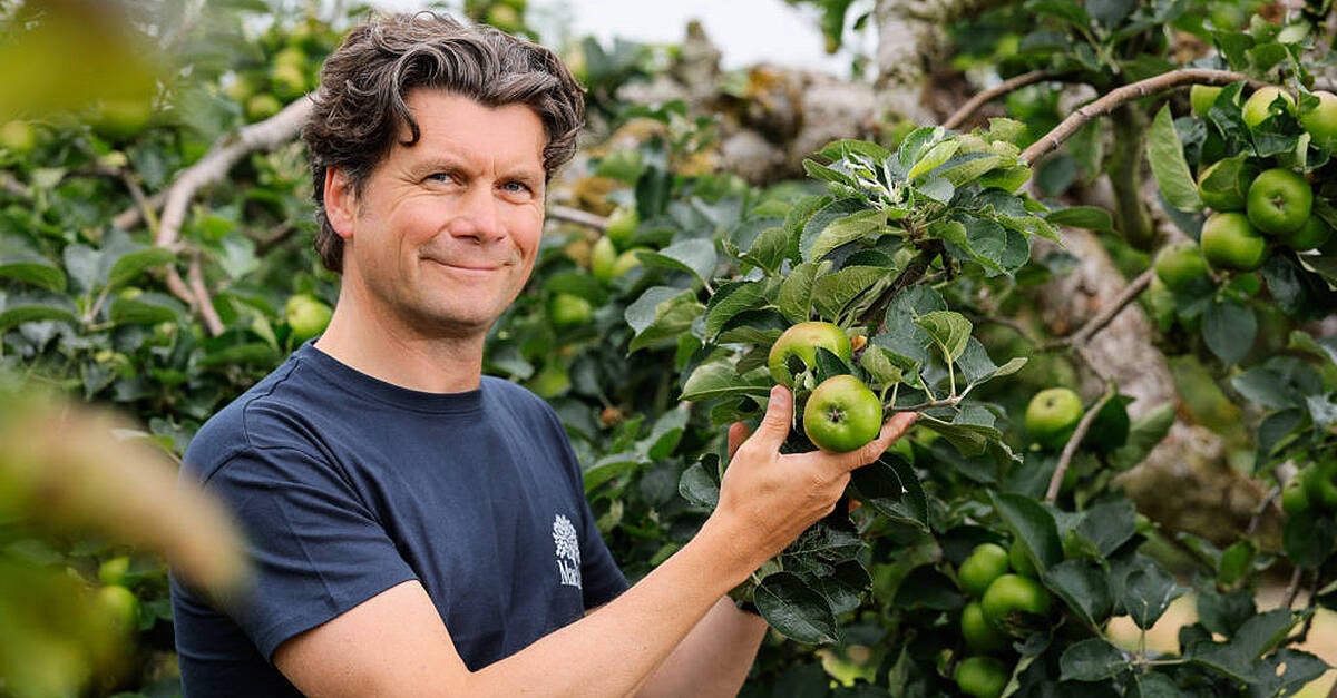 Европейски защитен статус „смяна на играта“ за Armagh Bramley Apple производители 