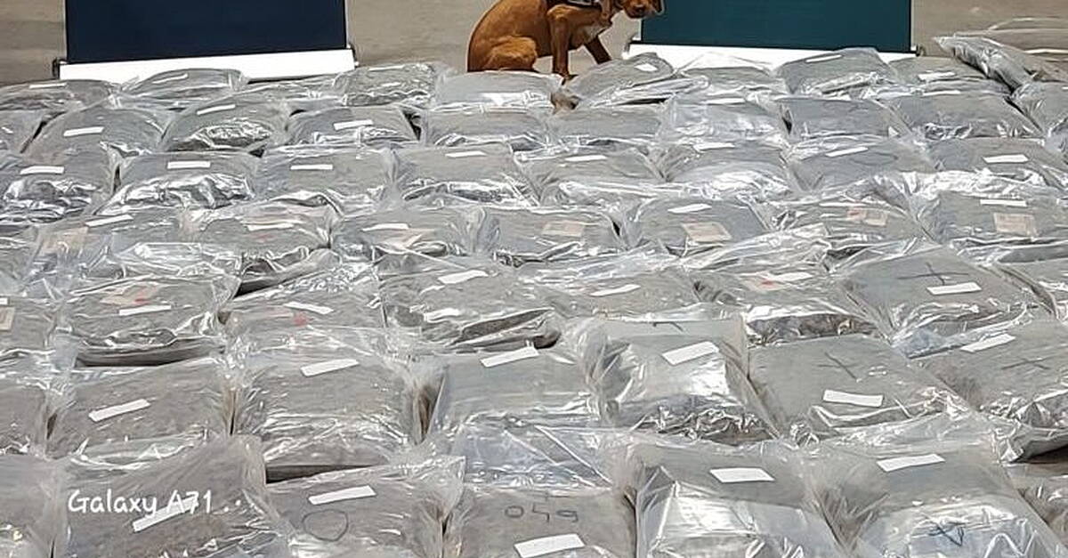 Man arrested after cannabis worth €2.1 million seized in Cork