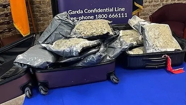 Man arrested and €192,000 cannabis seized in Dublin city