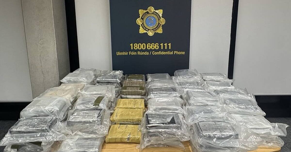 Cocaine worth €8.1 million seized and man (30s) arrested in Co Laois