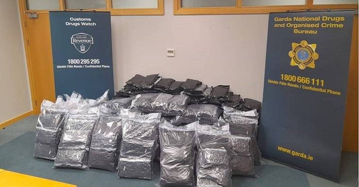 Over €4.4 million cannabis seized and four men (30s) arrested in South ...