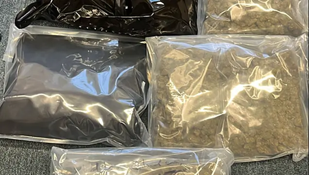 Man (30s) arrested after cannabis worth €150k seized in Louth