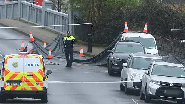 Two men arrested in connection with serious assault in Limerick city