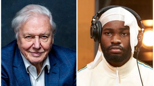 David Attenborough And Rapper Dave Collaborate For Planet Earth Special