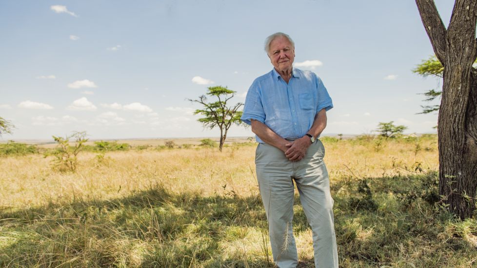 Sir David Attenborough: Early Part Of My Career Was The Best Time Of My Life