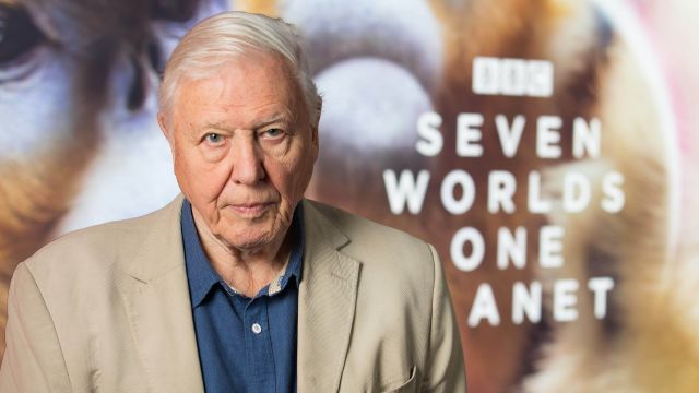 David Attenborough Wins An Emmy For Work On Seven Worlds, One Planet