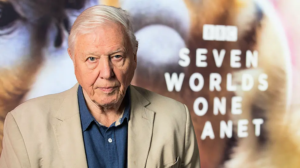 David Attenborough Wins An Emmy For Work On Seven Worlds, One Planet