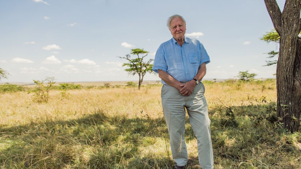Sir David Attenborough Joins Instagram To Warn ‘The World Is In Trouble’