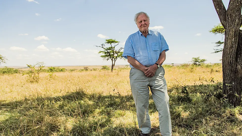 Sir David Attenborough Joins Instagram To Warn ‘The World Is In Trouble’