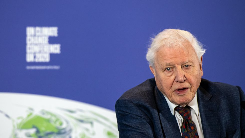 Sir David Attenborough: I Refuse To Cry In The Corner Over The Planet