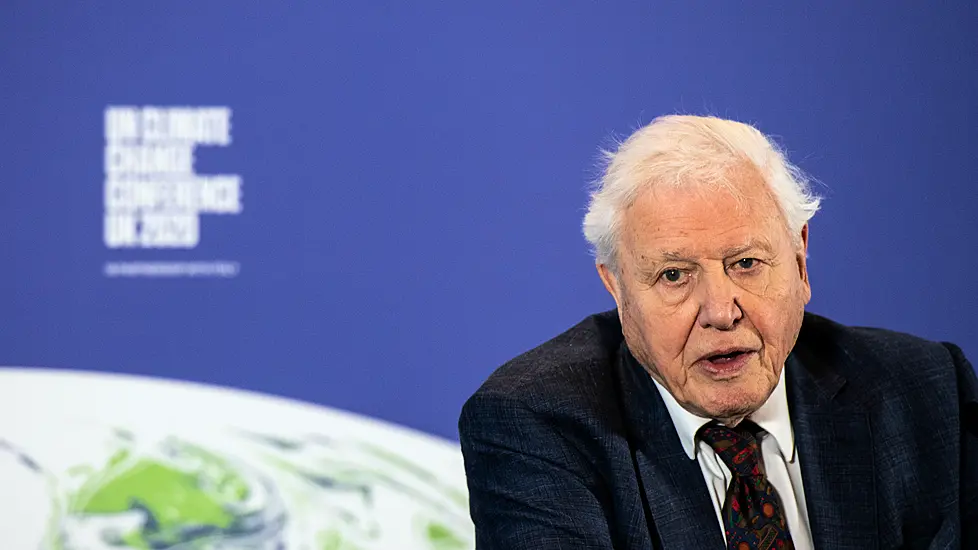 Sir David Attenborough: I Refuse To Cry In The Corner Over The Planet