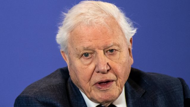 David Attenborough Appointed A Knight Grand Cross By The British Queen