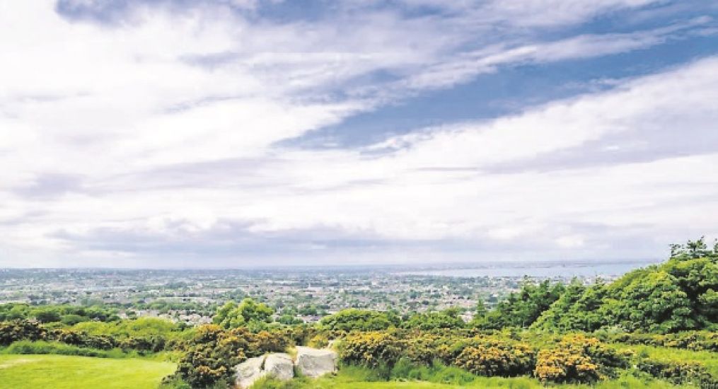 'Tree Huggers' Stopping Dublin Council From Removing Dangerous Trees