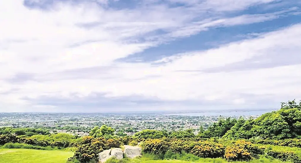 'Tree Huggers' Stopping Dublin Council From Removing Dangerous Trees