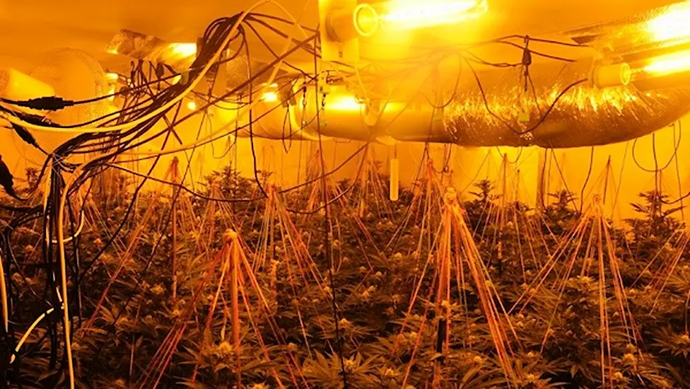 Two Men Arrested Following Discovery Of €240,000 Growhouse In Leitrim