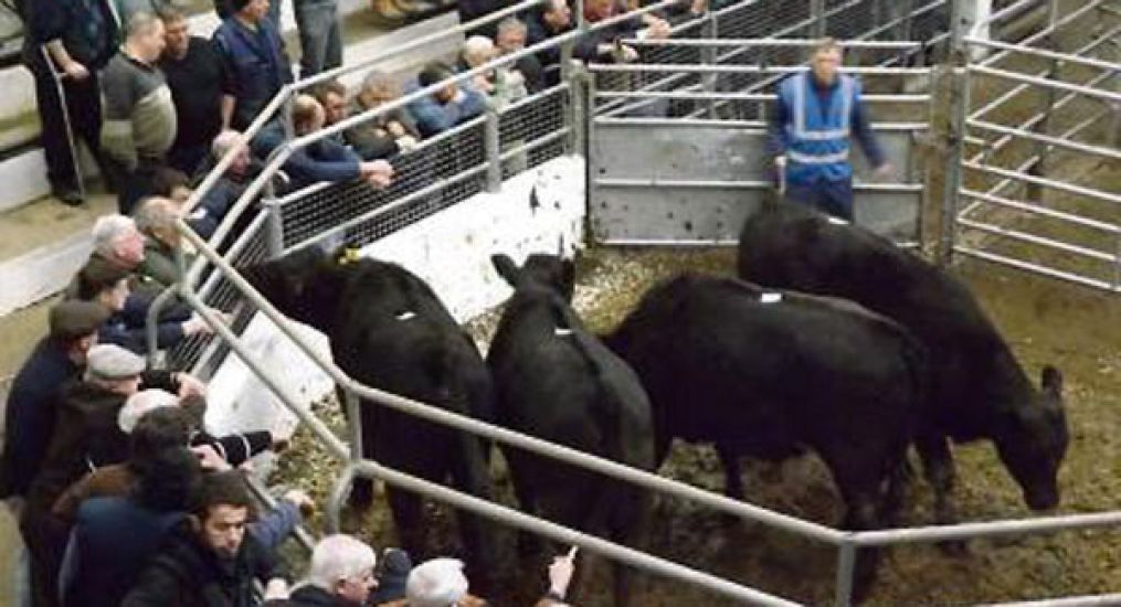 €50M Support Package For Farmers Welcomed By Ifa