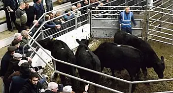 €50M Support Package For Farmers Welcomed By Ifa