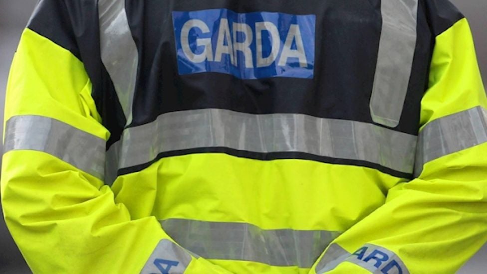 Two Arrested Following Overnight Kildare Burglaries