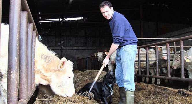 Charlie Mcconalogue To Be Appointed New Minister For Agriculture