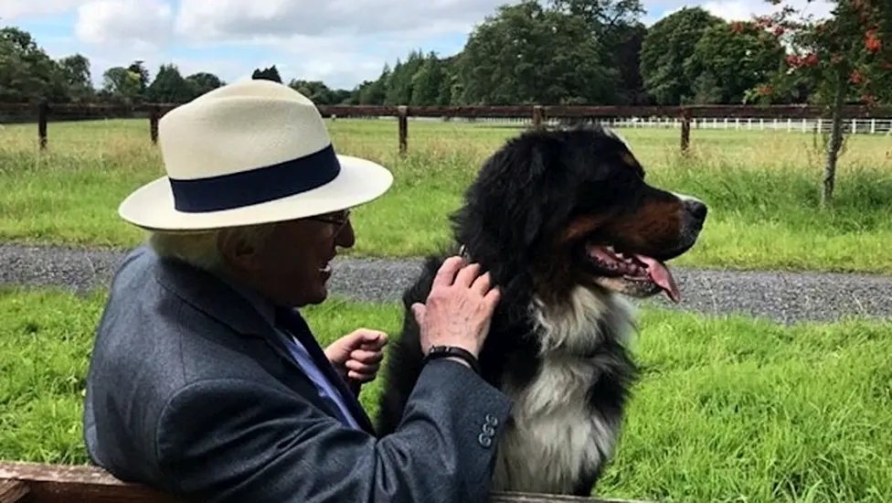 President Michael D Higgins' Dog, Síoda, Dies After Short Illness