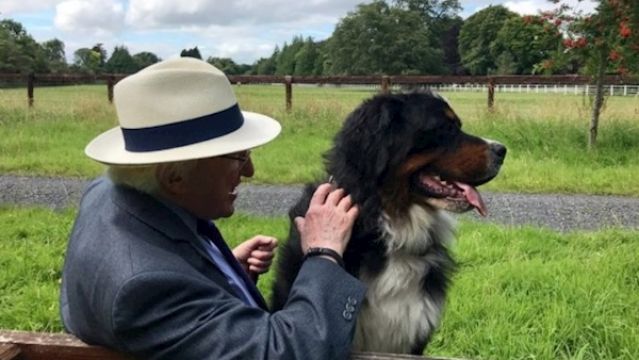 President Michael D Higgins' Dog, Síoda, Dies After Short Illness