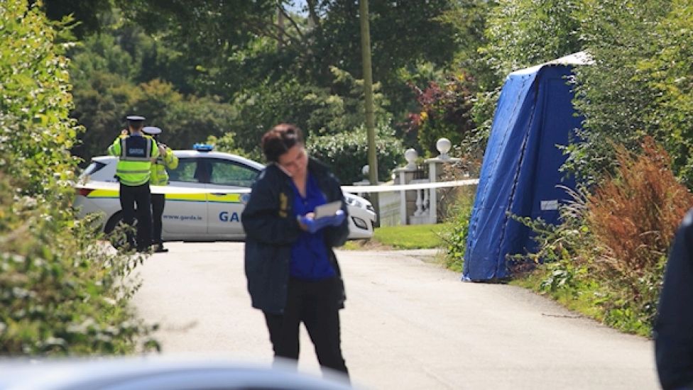 Murder Accused Told Gardaí He Didn't Know Who Killed His Former Flatmate