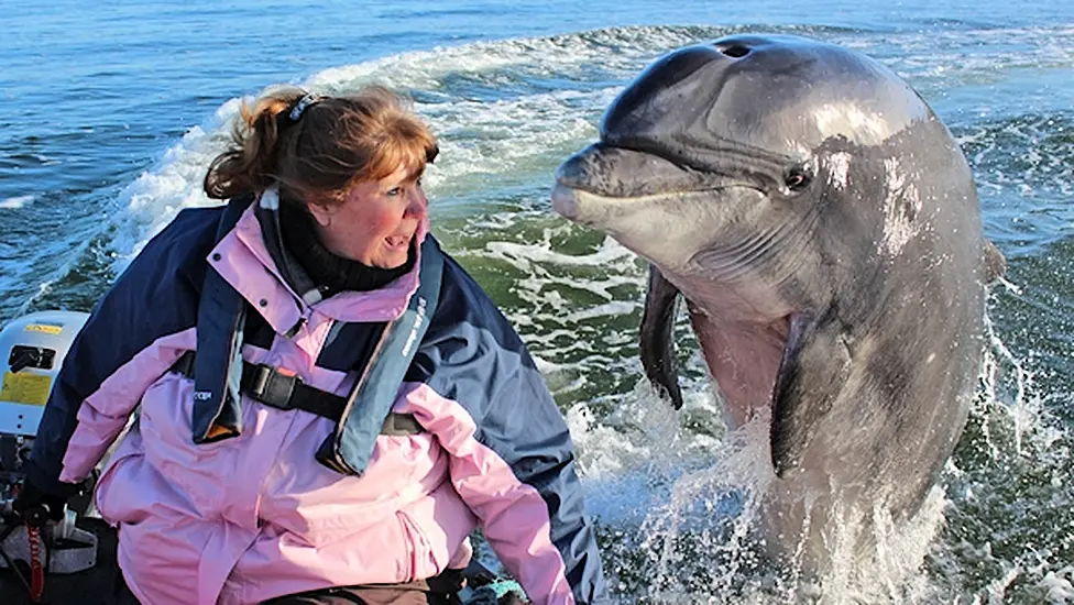 Boats Continue Search For Dolphin Fungie ‘Missing’ Almost A Week