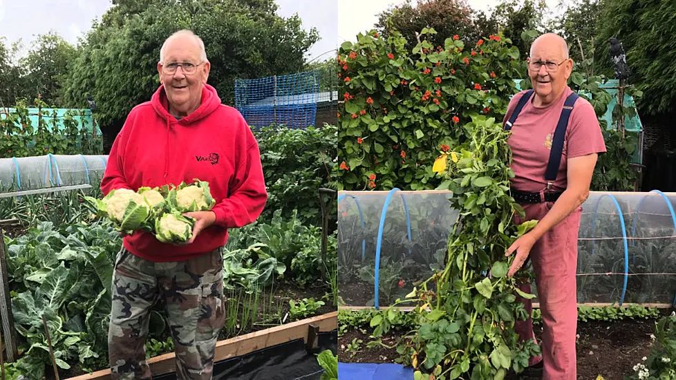 ‘Vegetable King’, 71, Becomes Viral Sensation With Gardening Twitter Account