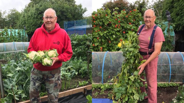 ‘Vegetable King’, 71, Becomes Viral Sensation With Gardening Twitter Account