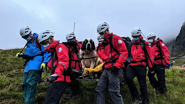The Rescue Dog That Had To Be Rescued From England’s Highest Mountain