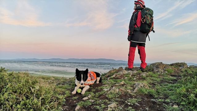 Rescue Dogs Work Through The Night To Locate Missing Person