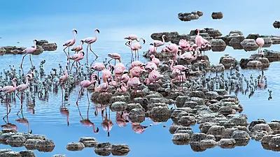 Stunning Snaps From National Geographic'S Travel Photography Competition