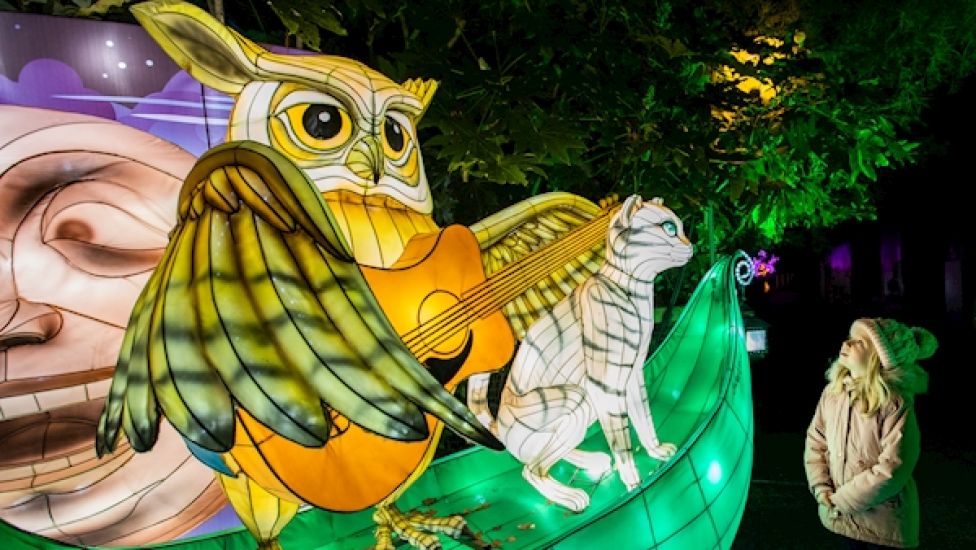 Dublin Zoo Cancels Annual Wild Lights Exhibition