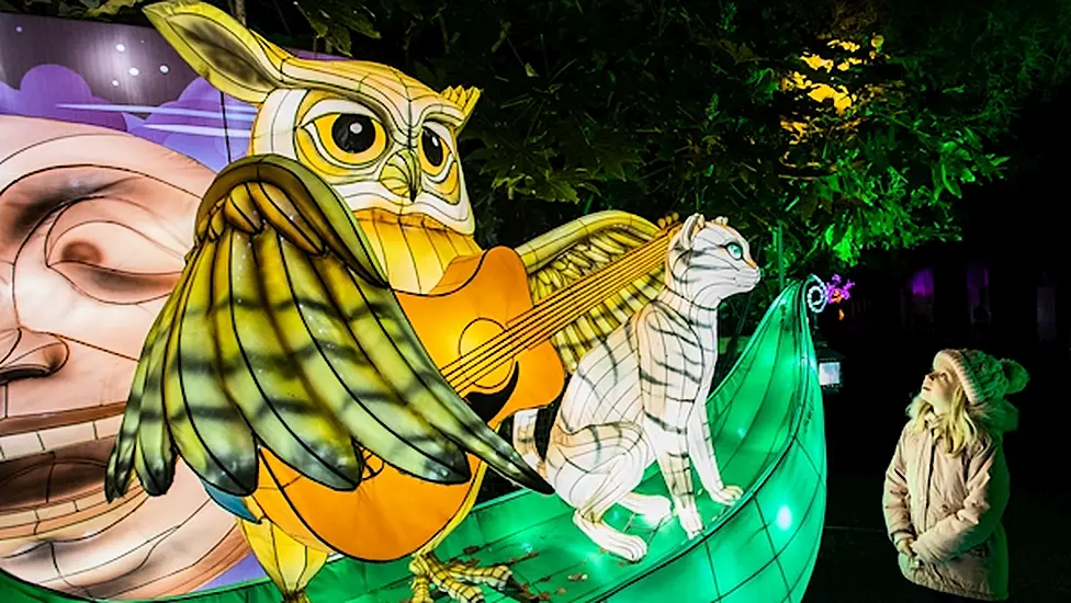Dublin Zoo Cancels Annual Wild Lights Exhibition
