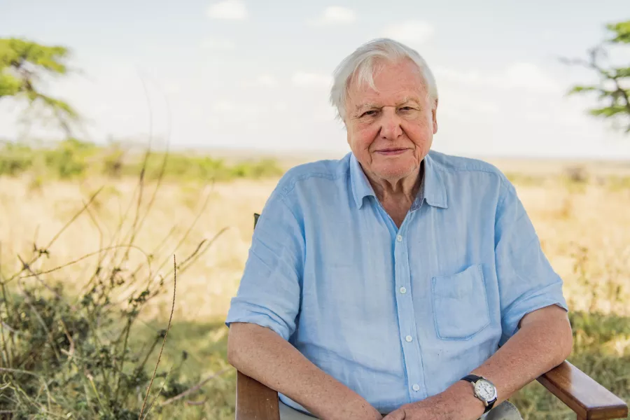 Sir David Attenborough in the Maasai Mara, Kenya, filming his feature documentary David Attenborough: A Life On Our Planet (Conor McDonnell/WWF-UK/PA)