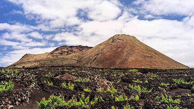 Five Of The World’s Most Unusual Vineyards