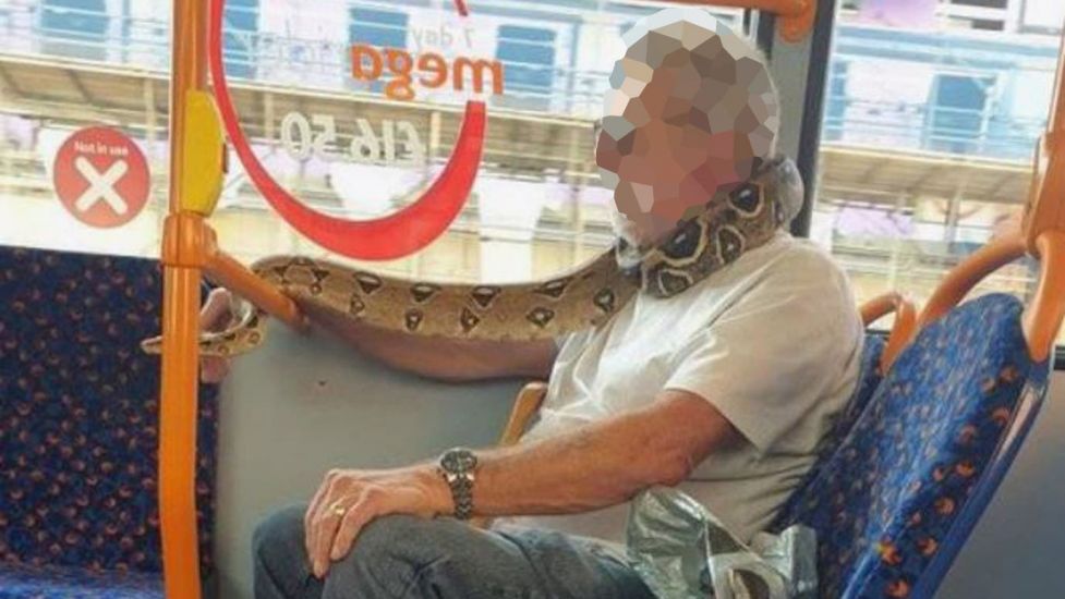 Man ‘Uses Snake As A Face Mask’ On Bus