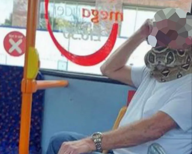 One passenger said she initially thought the man was wearing a ‘funky mask’ P(A)