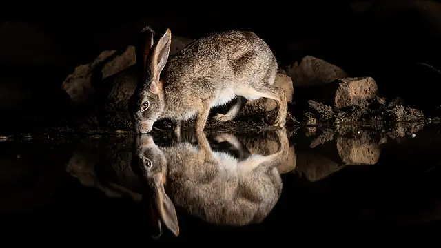 Irish Photographer's Award-Winning Work Part Of New Outdoor Exhibition