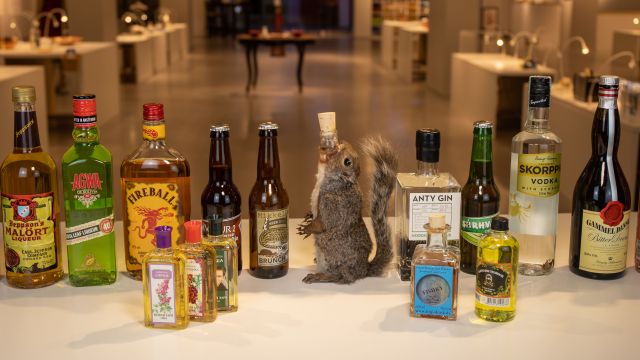 Disgusting Food Museum Debuts New Exhibition, Showcasing The World’s Most Disgusting Drinks