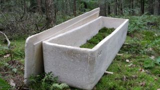 Dutch Company Creates Biodegradable Coffin