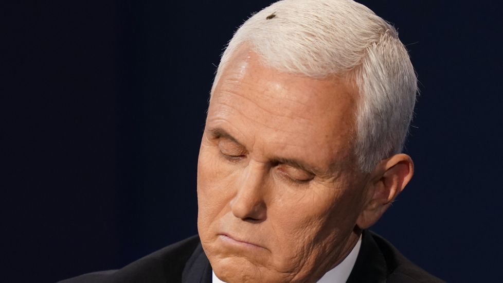 Viewers Distracted As Fly Lands On Mike Pence’s Head During Debate
