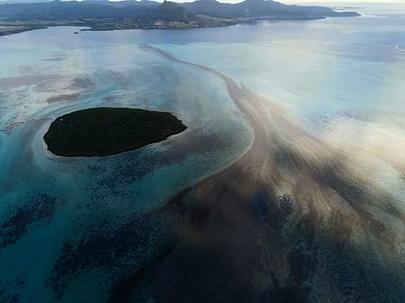 Oil from the MV Wakashio (Nik Cole/Mauritian Wildlife Foundation/AP)